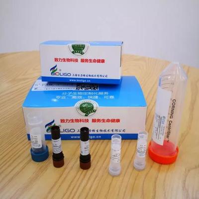 給力!抗擊新冠肺炎,長三角G60科創走廊松江企業貢獻核心技術產品